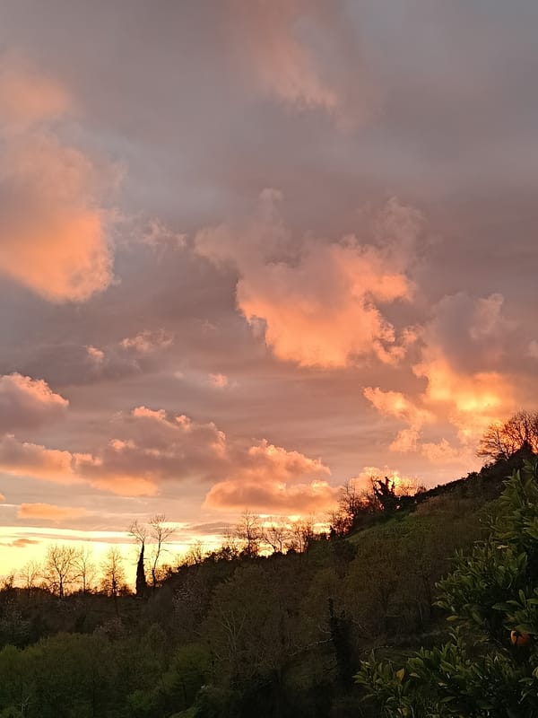 Contrasting spring landscapes captured in Abkhazia's countryside