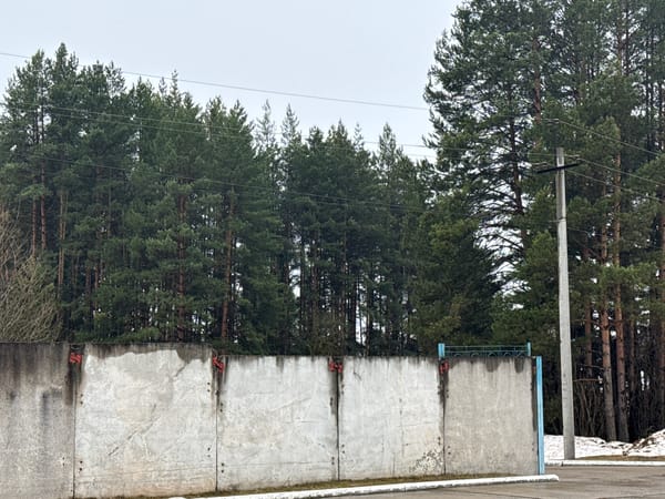 Concrete panel wall documented near forest in Foki, Russia