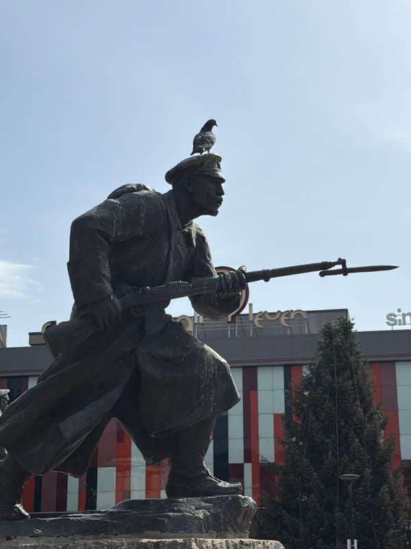 Bird perches on soldier statue in Pleven, Bulgaria