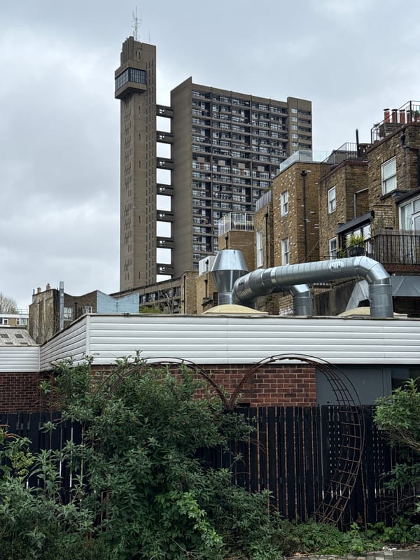 Bird photographed flying over London's Barbican Estate brutalist towers