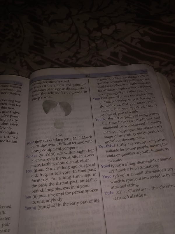 Browsing a worn English dictionary by lamplight in Jalingo