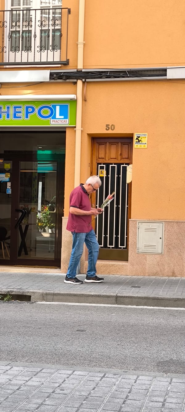 Morning scenes captured in Ripollet: roses, laundromat, street views