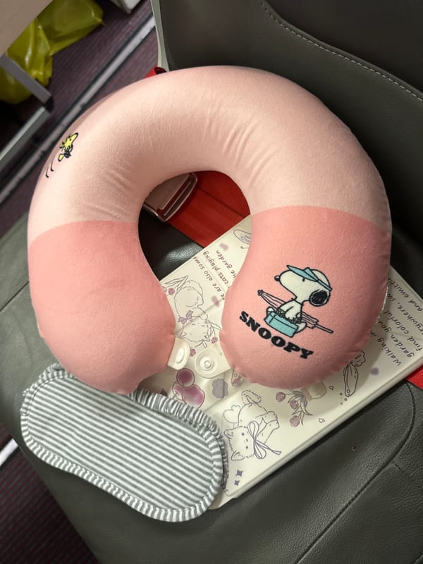 Traveler documents late-night Austrian Airlines departure from Yerevan airport