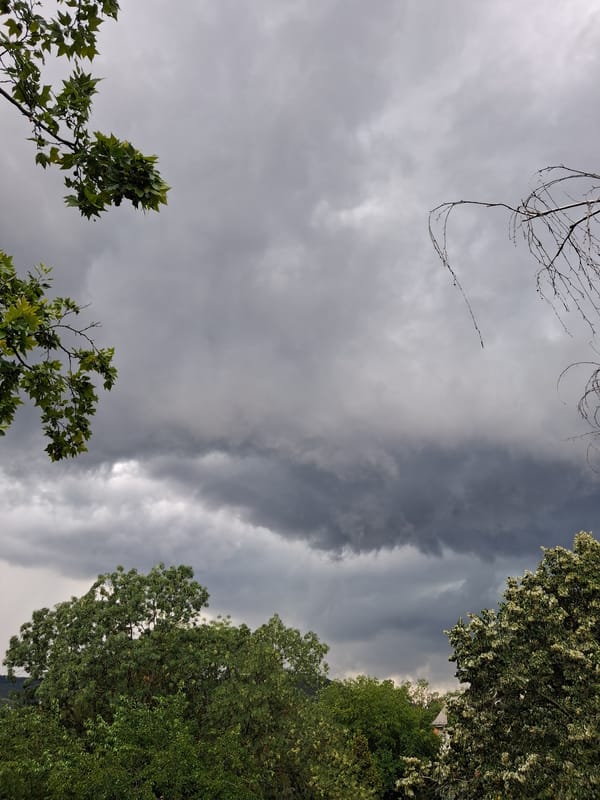 Dark storm clouds gather over Budapest treetops