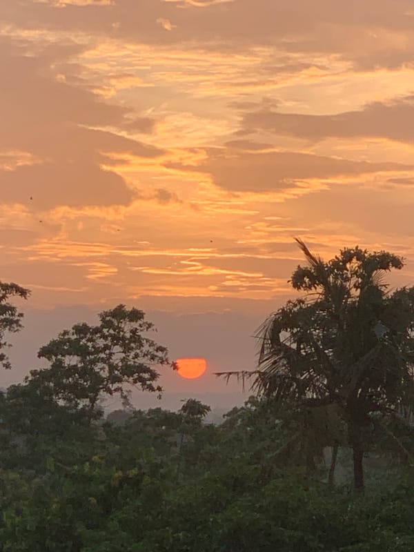 Sunrise and sunset over Karandugoda's palm-lined tropical canopy