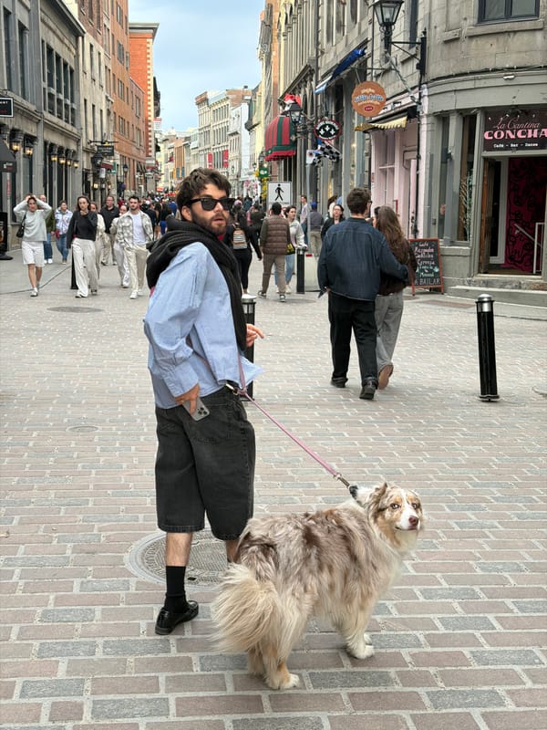 Evening pedestrian activity captured on Montreal walkway