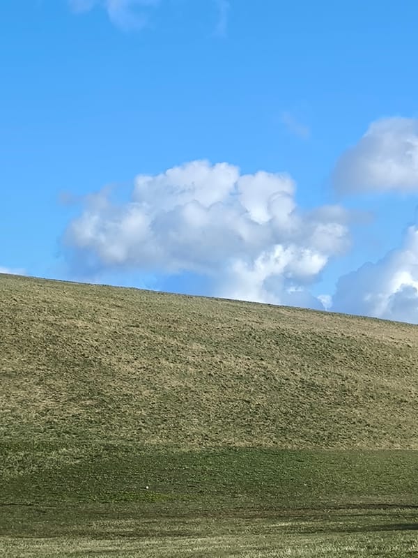 Spring hillside landscape captured in Riga, Latvia