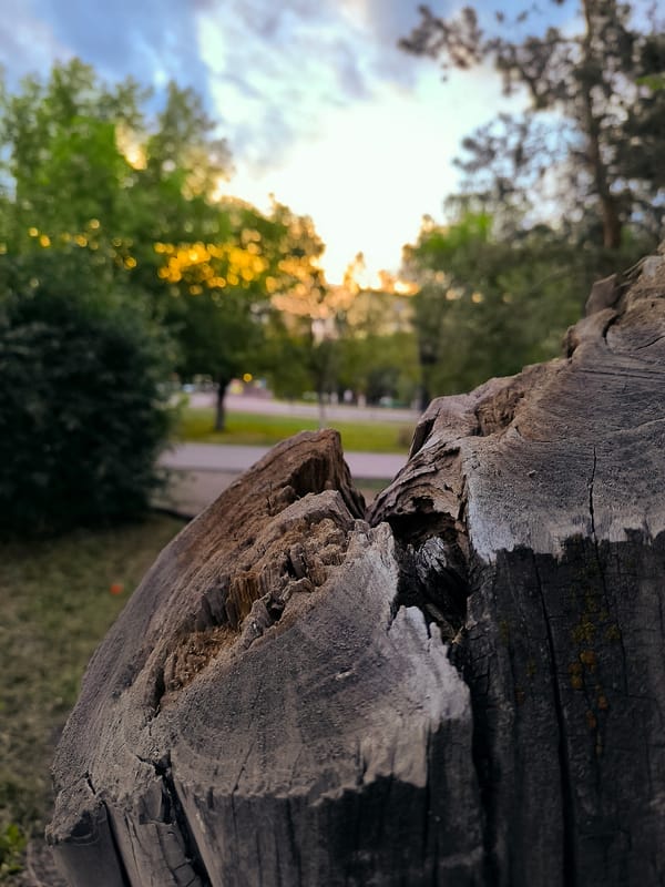 Hanging around a park pavilion in Qarağandı, Kazakhstan