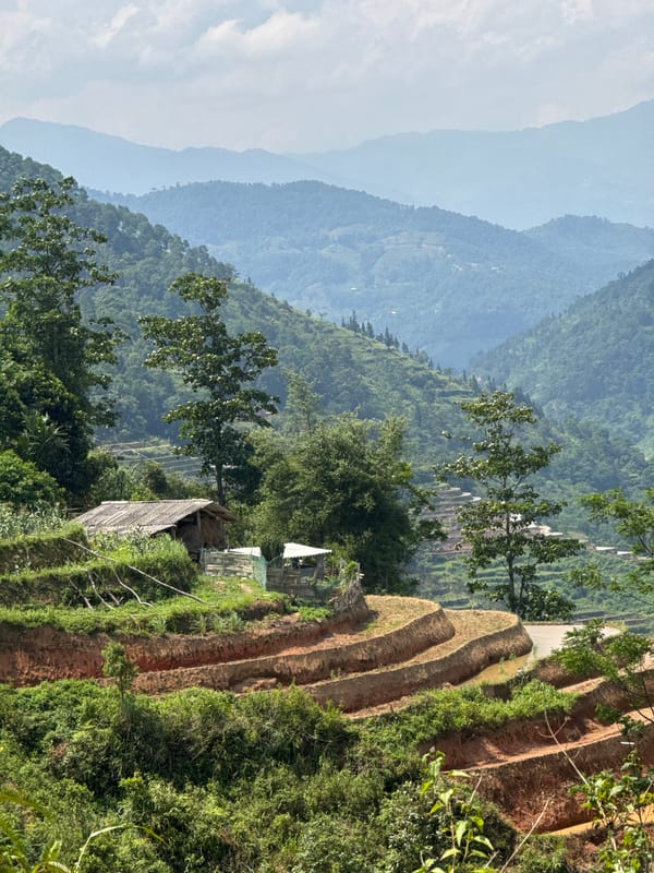 Couple visits terraced rice fields near Vinh Quang, Vietnam