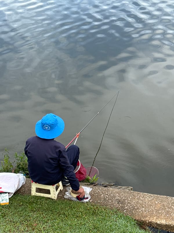 Morning scenes: fishing and horse grazing observed in Da Lat