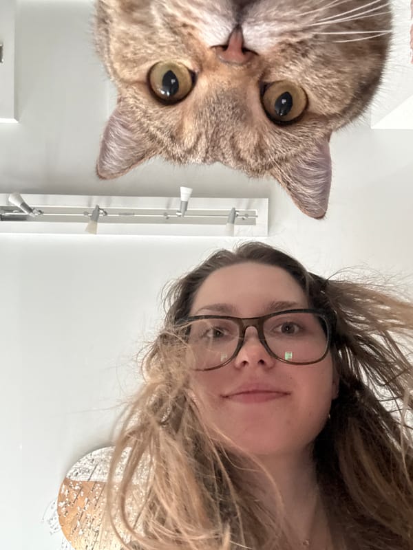 Tabby cat gets a full photo session at a Saint Petersburg apartment