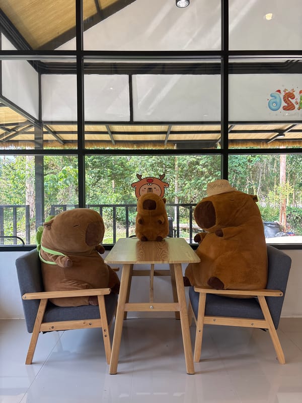 Capybara plush toys staged at Thai cafe table