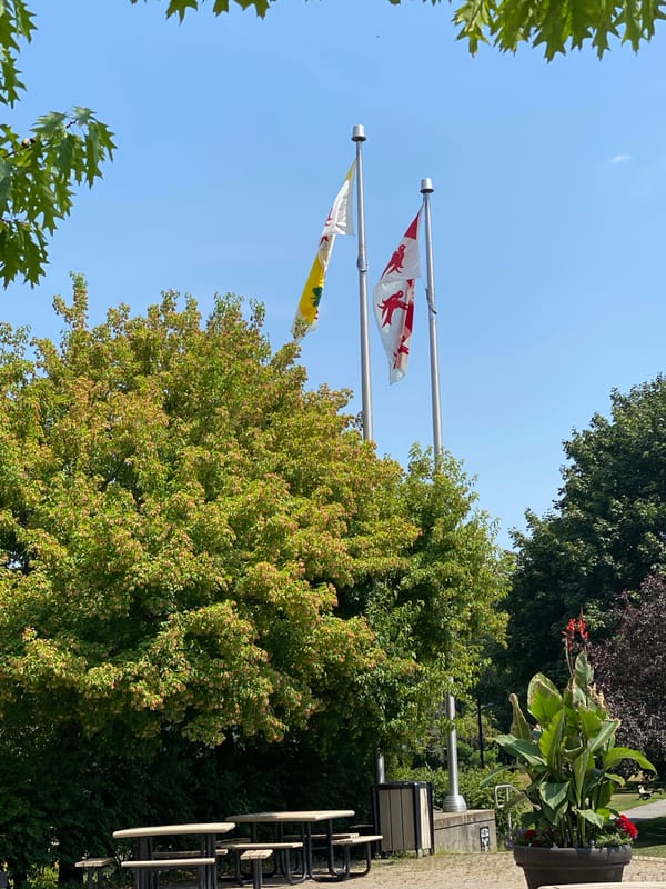 Summer afternoon in a Sainte-Anne-de-Bellevue park and garden