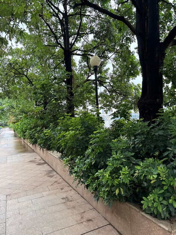 Strolling Tianhe's riverside park on a grey afternoon
