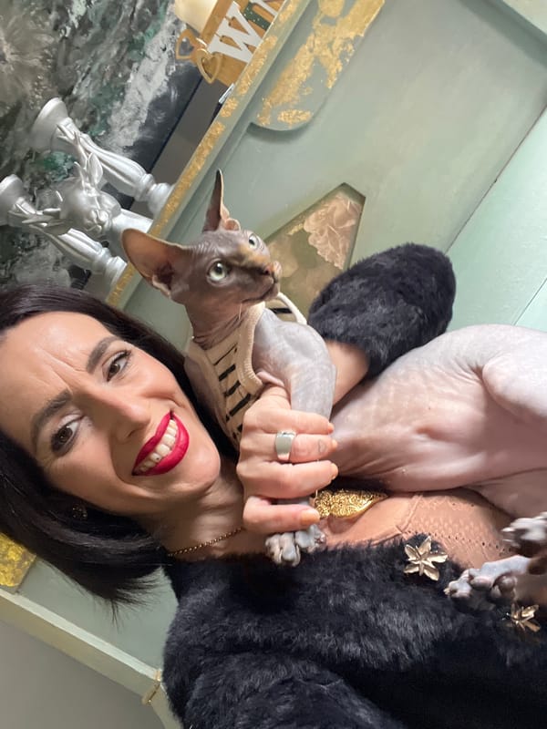 Woman takes selfies with Sphynx cat in Konz