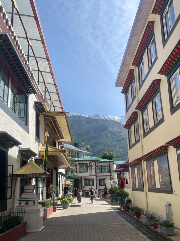 Early morning street scenes documented in Dharamshala, India