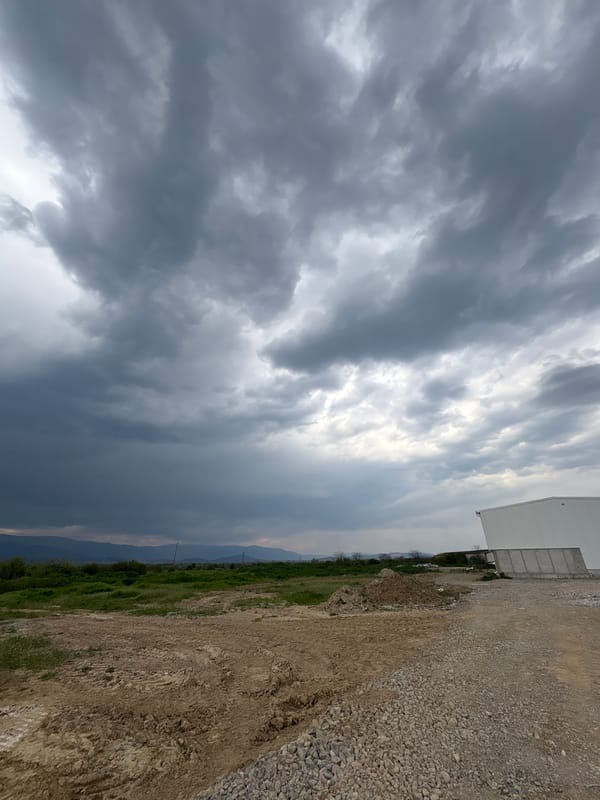 Farm animals and wildlife observed under stormy skies