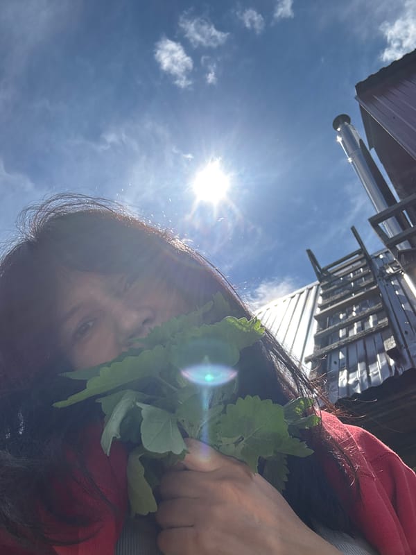 Person holds leafy plants near face in Chaikovsky, Russia