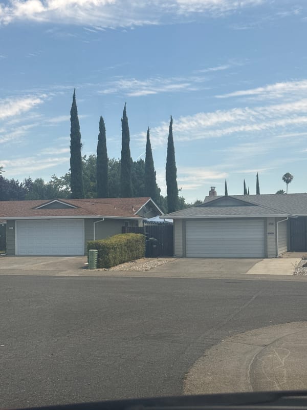 Sacramento house sports a full American flag painted garage door