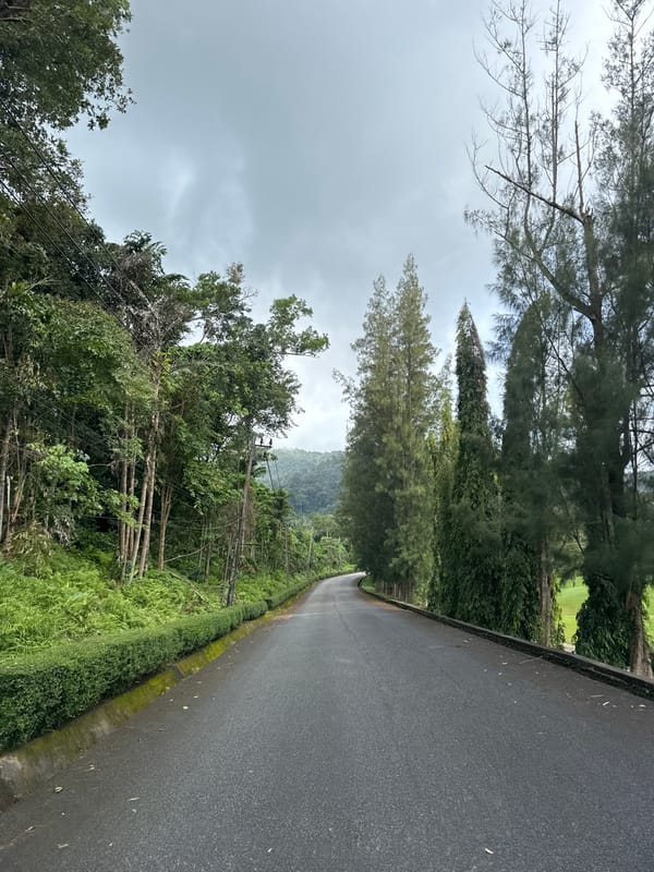 Person down on a Kathu road, surrounded by tropical greenery