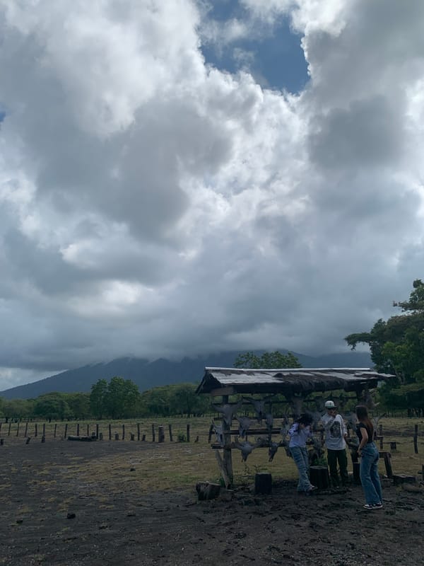Dramatic cloudy skies documented across Indonesian landscape