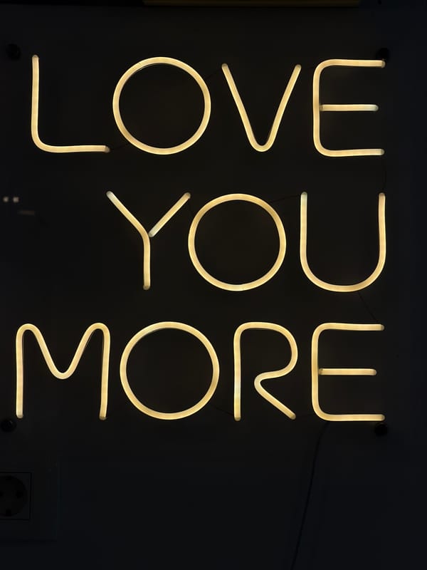 Neon signs including "LOVE YOU MORE" message documented