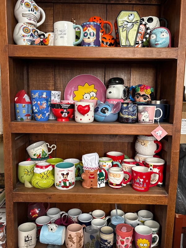 Collector showcases themed mug collection on wooden shelves in Puebla