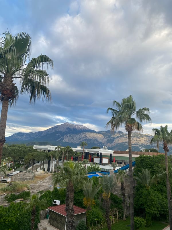 Palm trees sway under cloudy skies in Kemer, Turkey