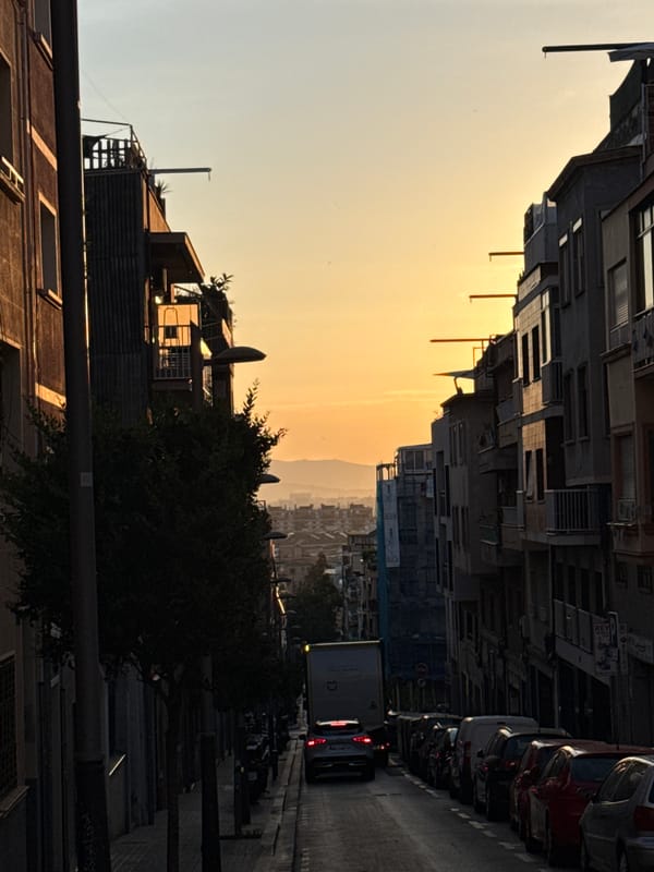 Barcelona residential street at golden hour, multiple angles
