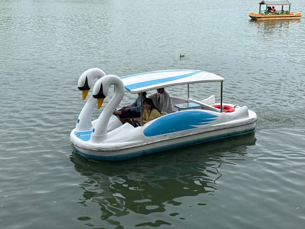 Beihai Park buzzes with boats and strollers on a summer morning