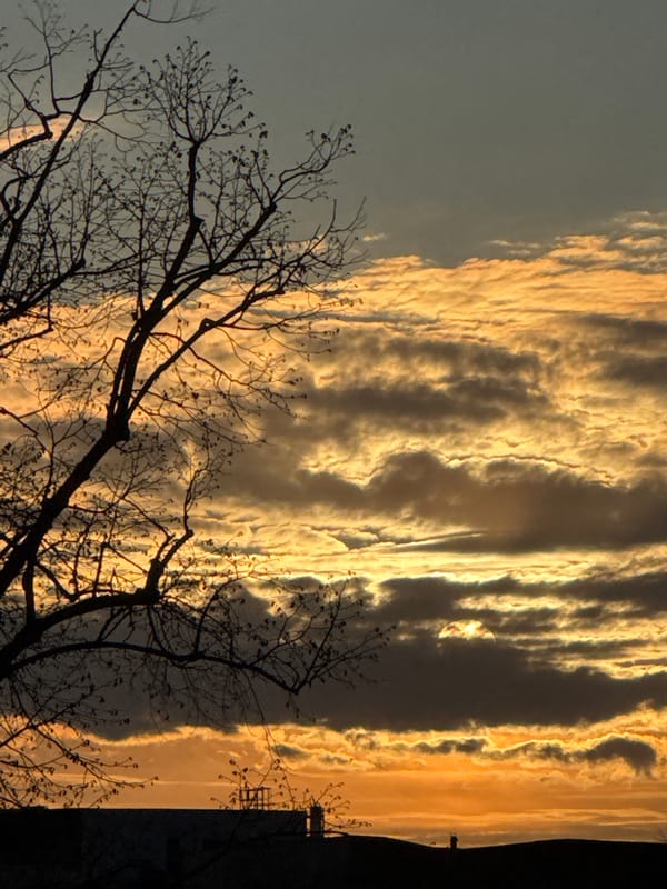 Twilight sky with golden clouds captured in Strasbourg
