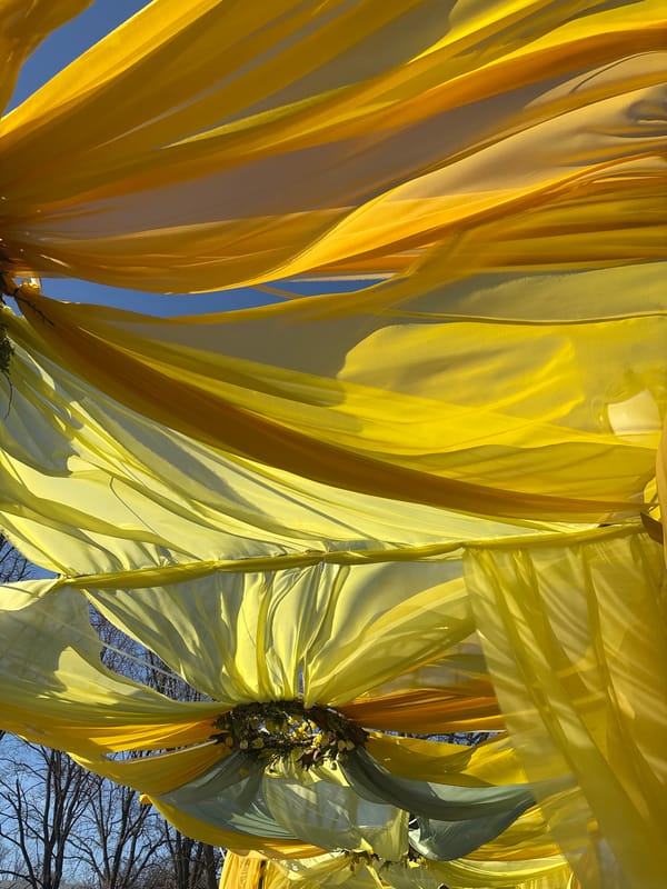 Memorial displays and spring gatherings observed in Kharkiv park