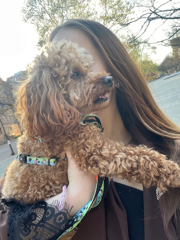 Woman with poodle photographed on Pazardzhik sidewalk near pharmacy