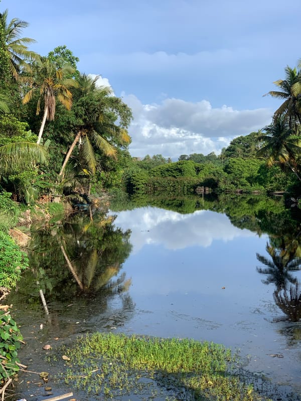 Quiet moments captured in southern Sri Lanka waterways and roads