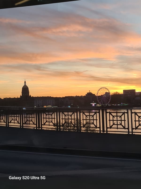 Evening sunset illuminates Rhine River cities Wiesbaden and Mainz