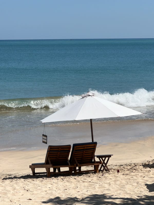 Beach scenes with rental chairs, aircraft, dog captured Kuta Selatan