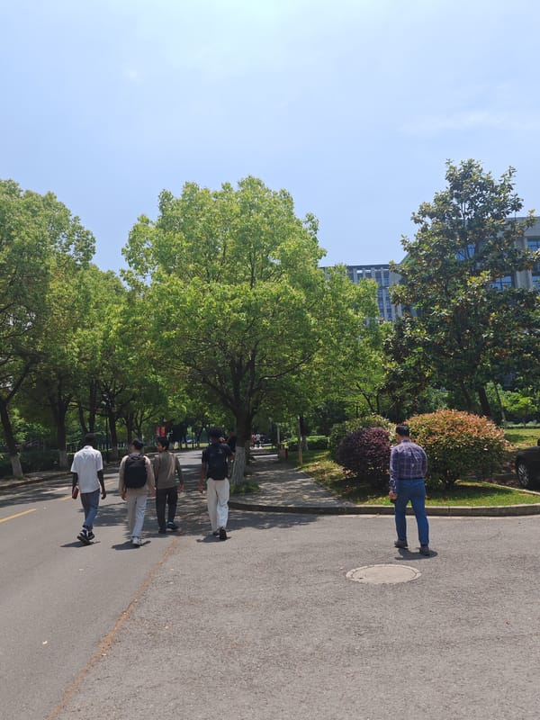 Early morning pedestrians navigate tree-lined paths in Jiangning District