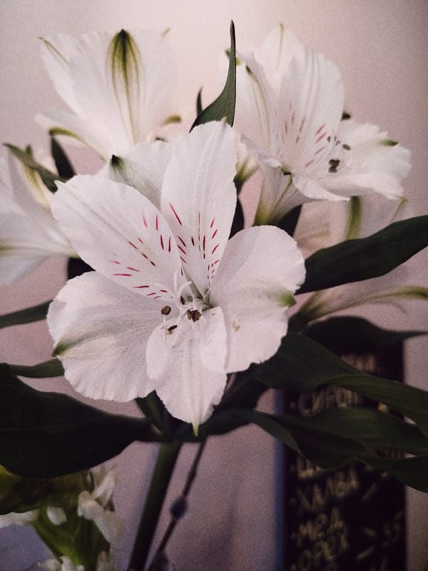 Flowers and beverage documented in quiet moments