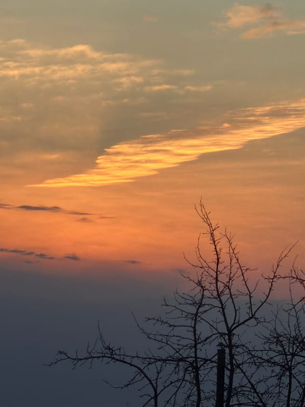 Afternoon scenes captured across Chaikovsky, Russia include sunset, playground, streets