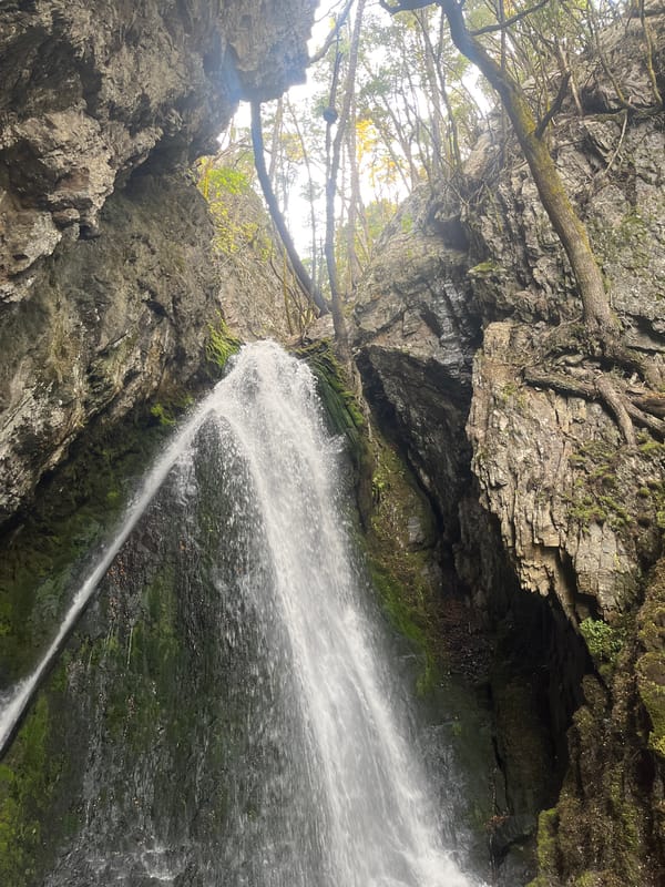 Waterfall documented flowing over mossy rock formations in Argentina