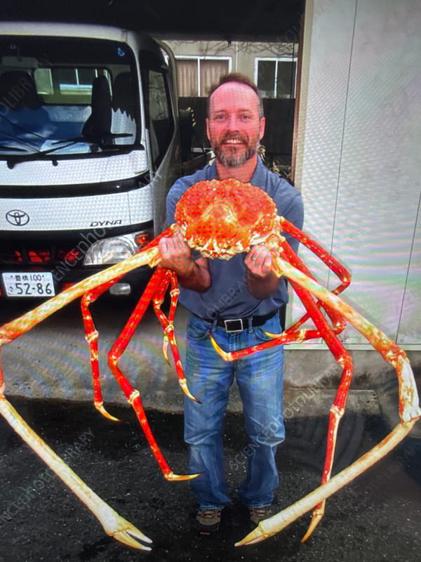 Budgies in a cage and a giant spider crab, Ukraine