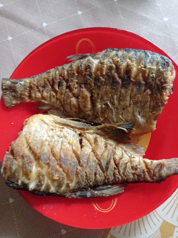 Pan-fried fish meal documented in Degtyarsk, Russia