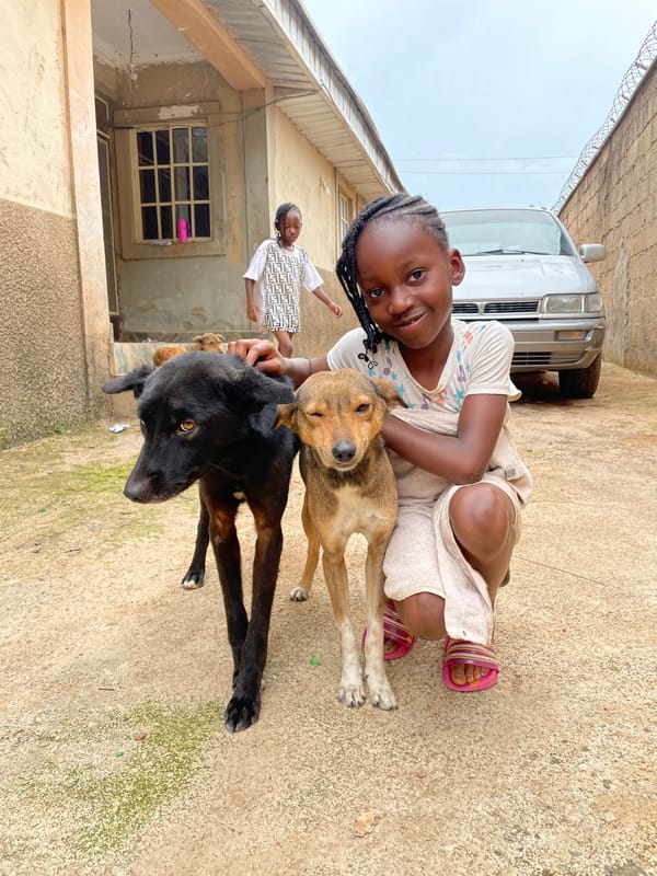Children play with dogs in Jos, Nigeria neighborhoods