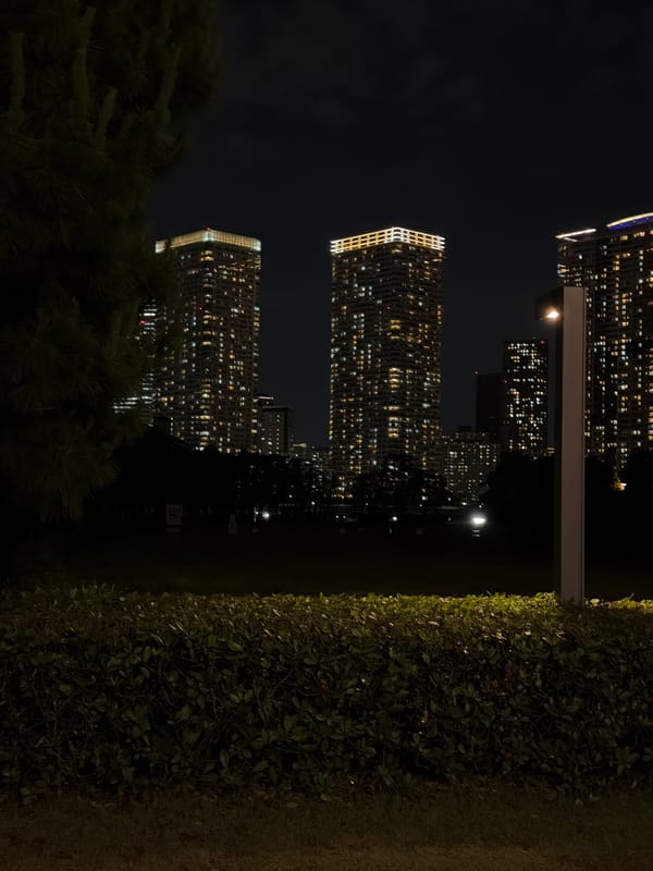 Families explore illuminated sphere art installation in Tokyo's Koto district