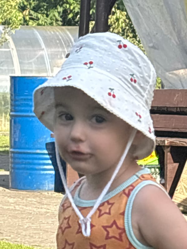 Backyard summer afternoon with a toddler in Minsk