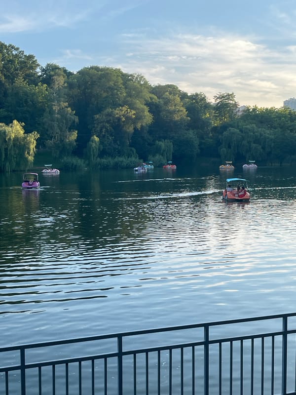 Roses and park scenery on a summer evening in Chișinău
