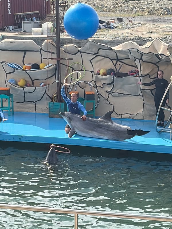 Marine park hosts dolphin and sea lion shows