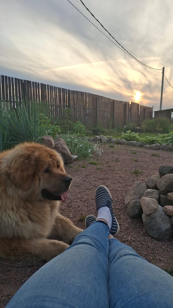 Child and dog spend afternoon together in rural Russia