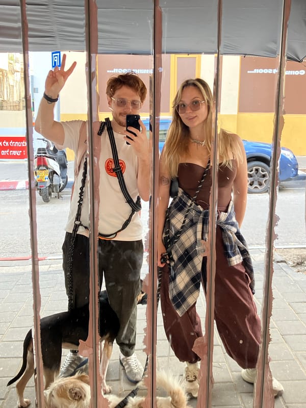 Dog walkers reflected in damaged street mirror in Tel Aviv