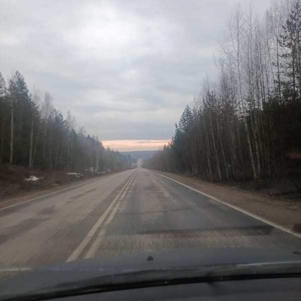 Overcast afternoon captured on forested road in Chaikovsky, Russia